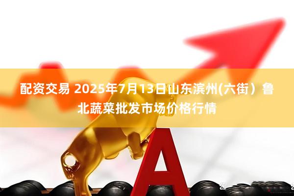 配资交易 2025年7月13日山东滨州(六街)鲁北蔬菜批发市场价格行情
